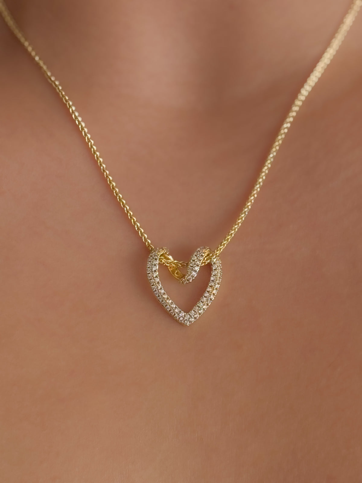 COLLAR ADA