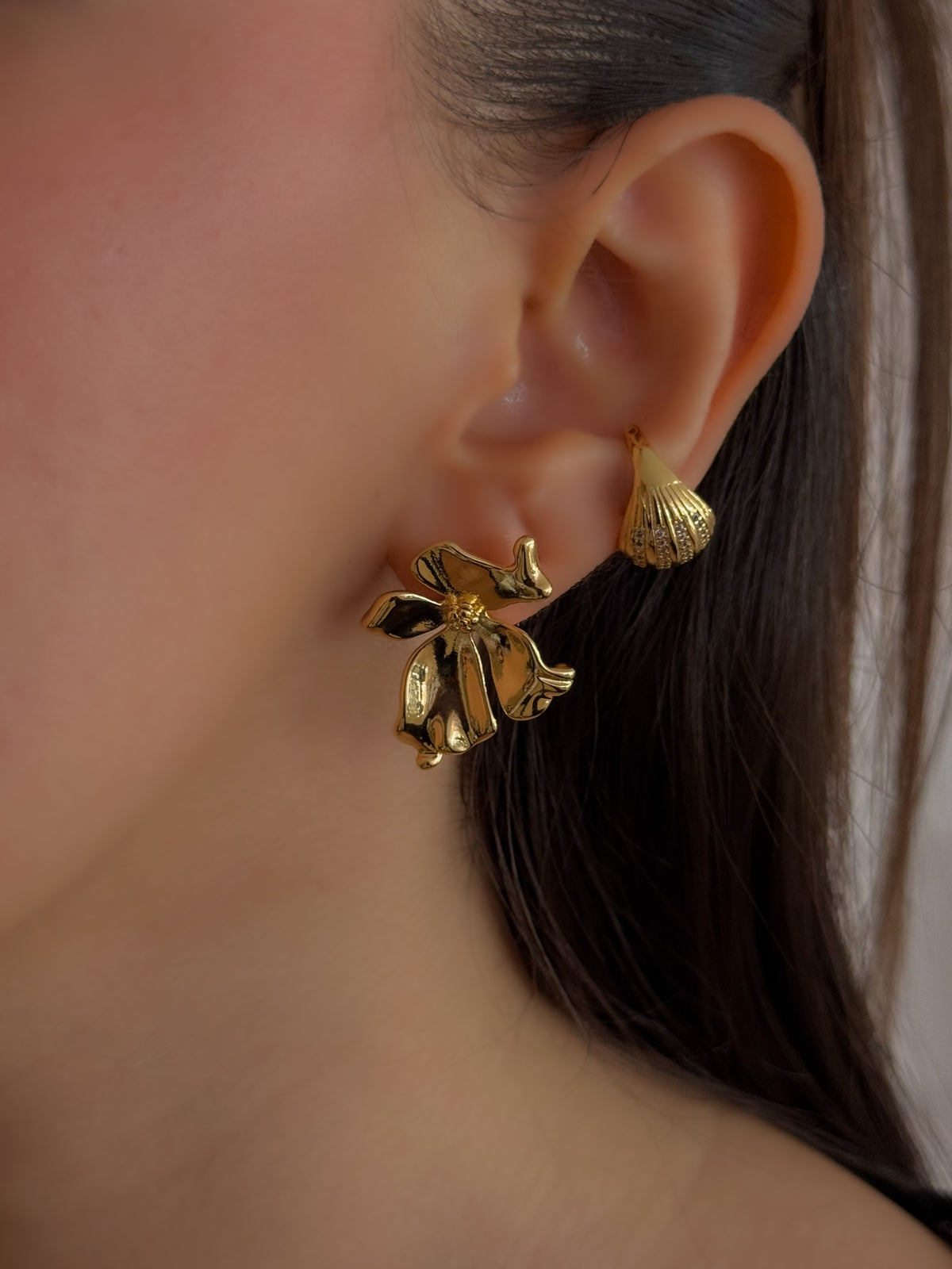 ARETE CAMELIA