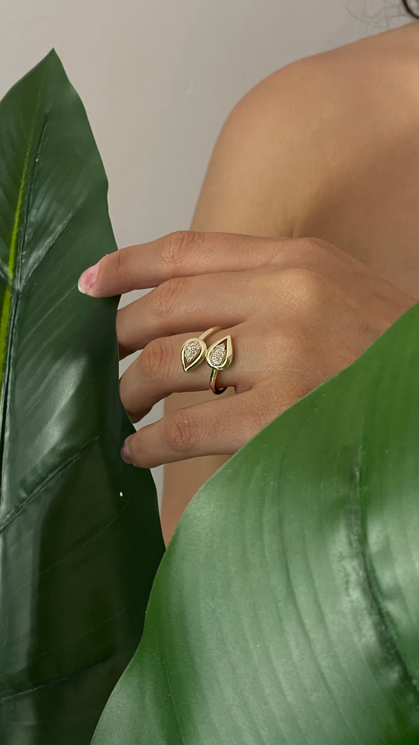 ANILLO NATURA