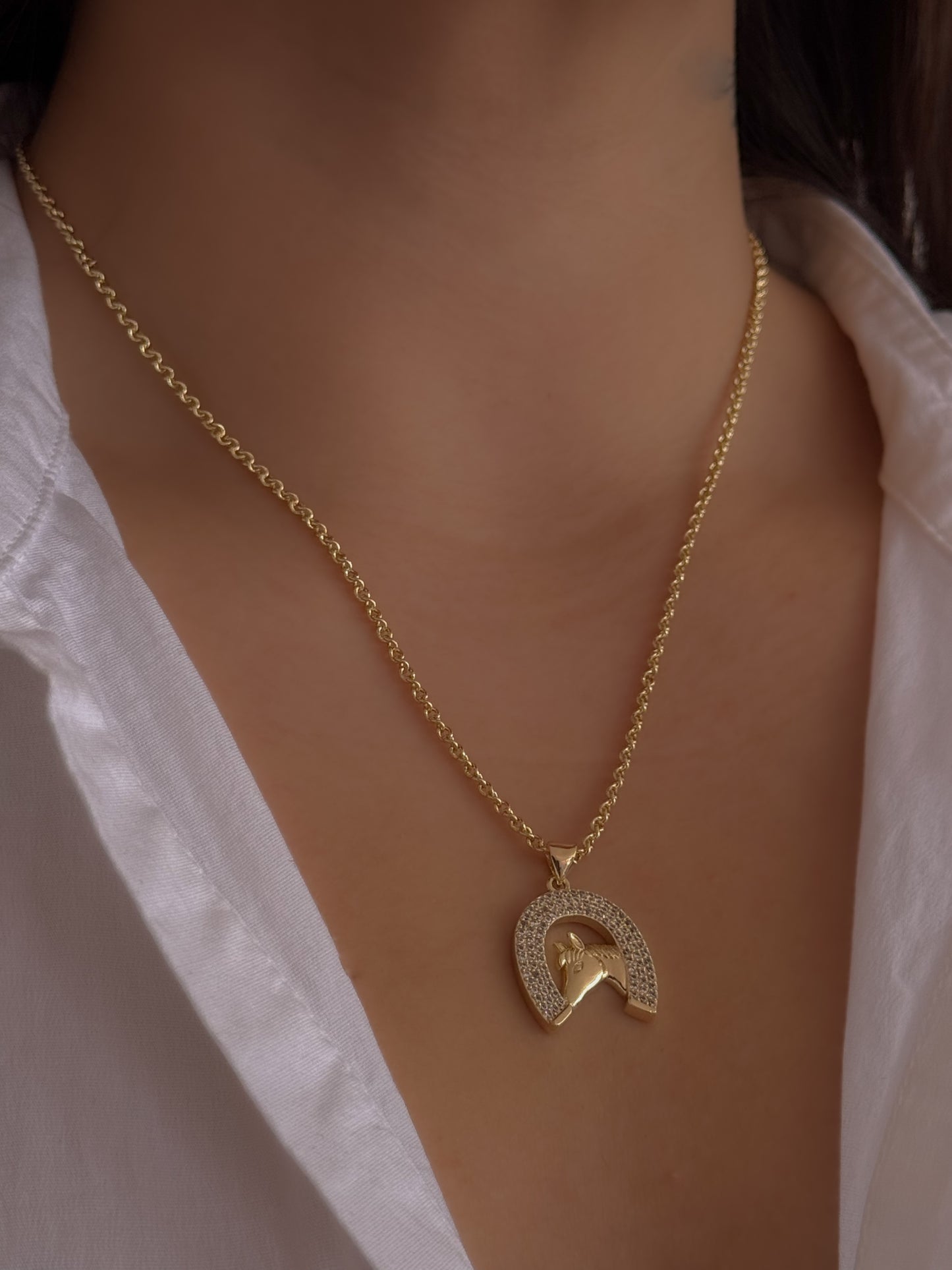 COLLAR OESTE
