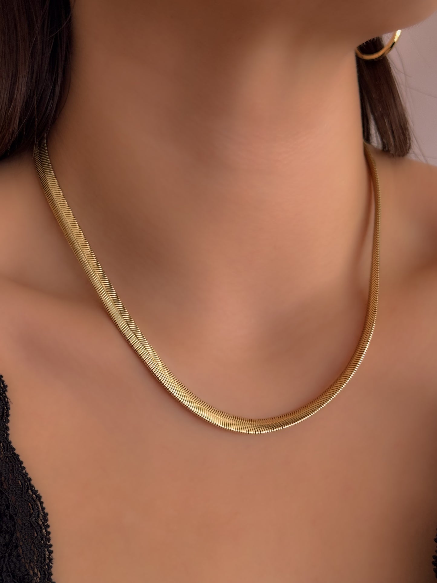 COLLAR PRESTIGE