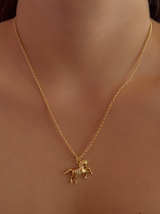 COLLAR SPIRIT