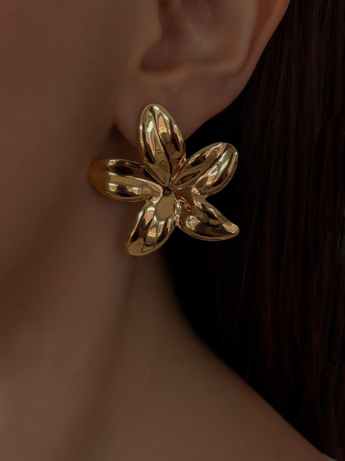 ARETE FLORIDA (REMATES)