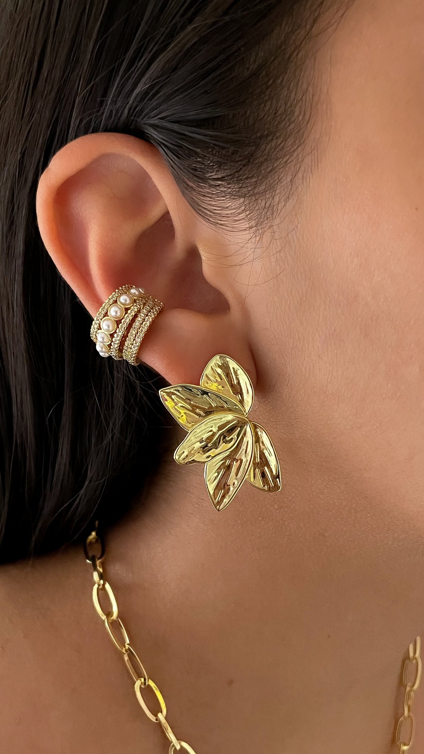 Arete Eva y Simulador Princesa