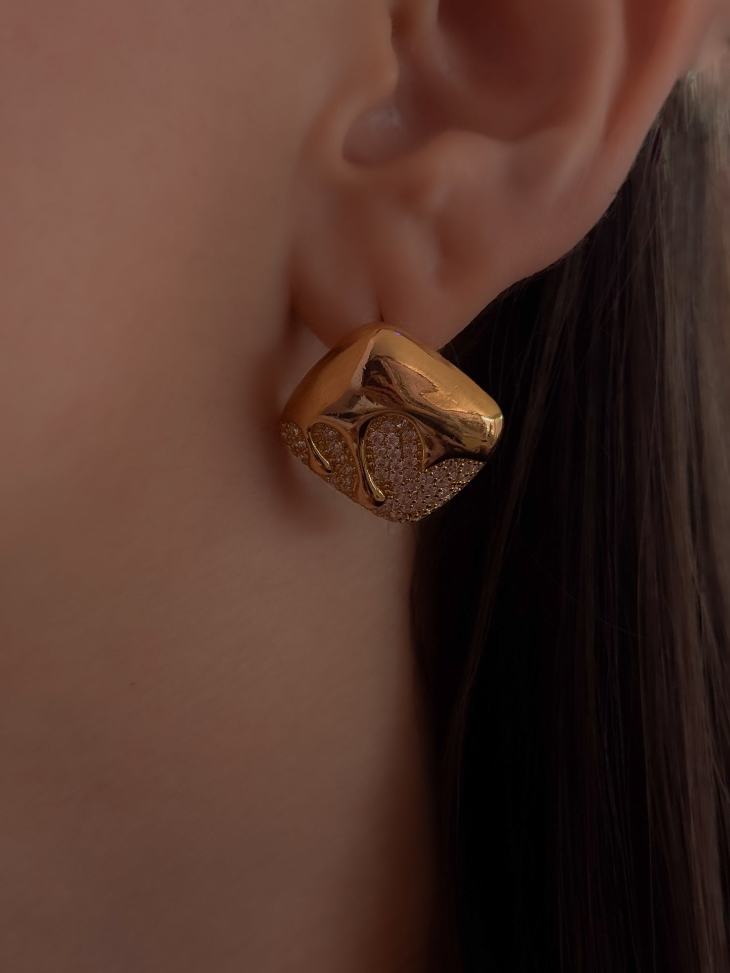 ARETE DANI
