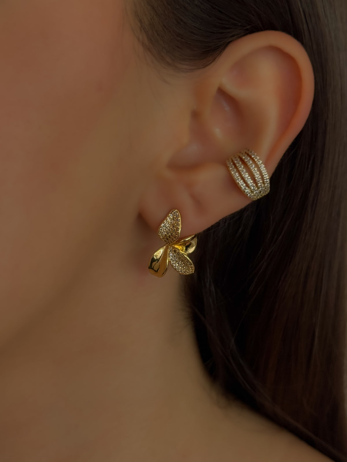 ARETE LIDIA