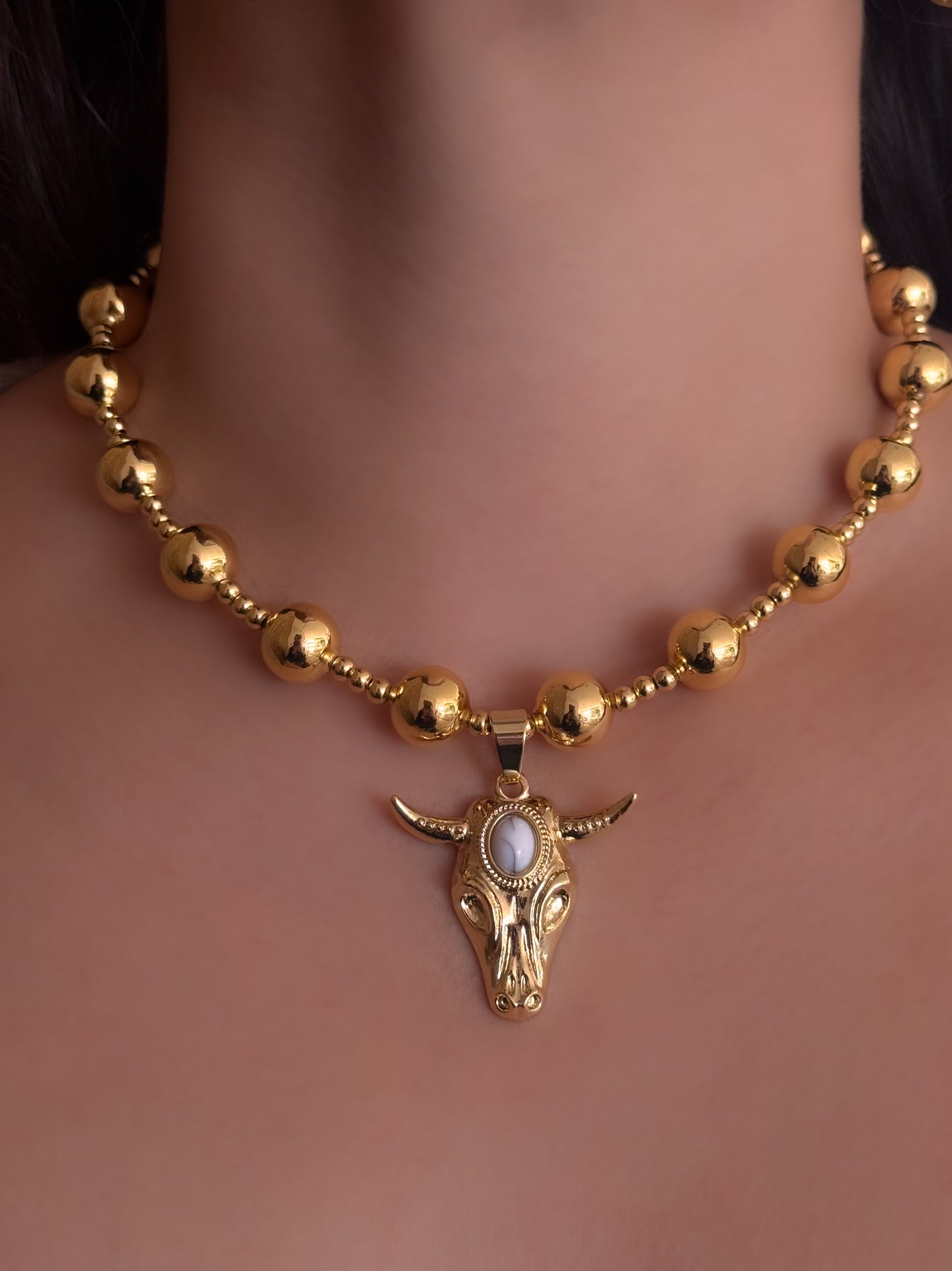 COLLAR ARIZONA