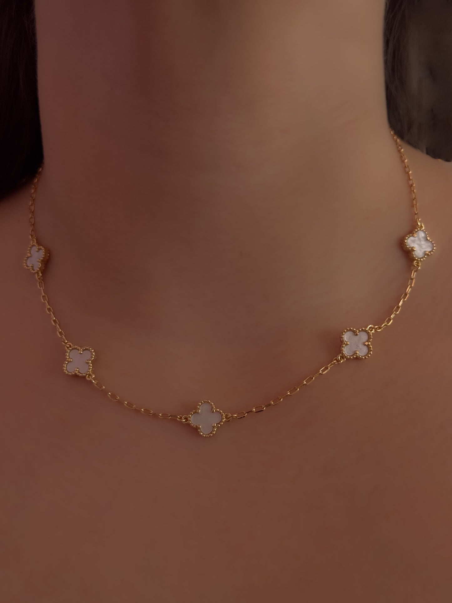 COLLAR VELVET