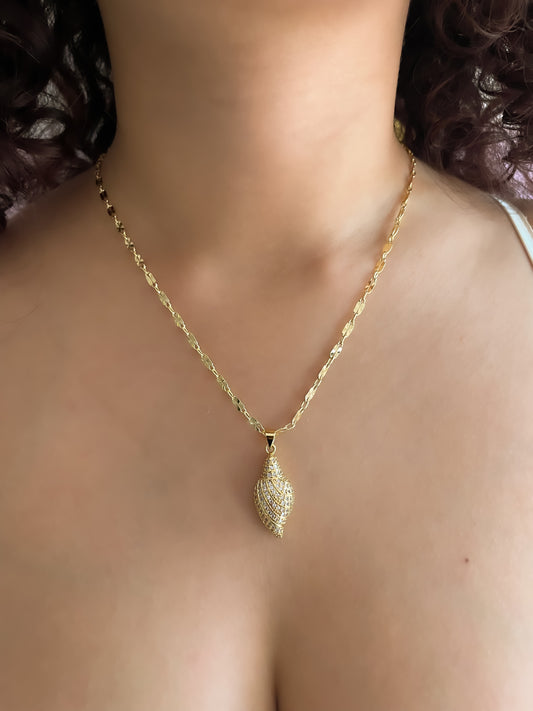 Collar coral