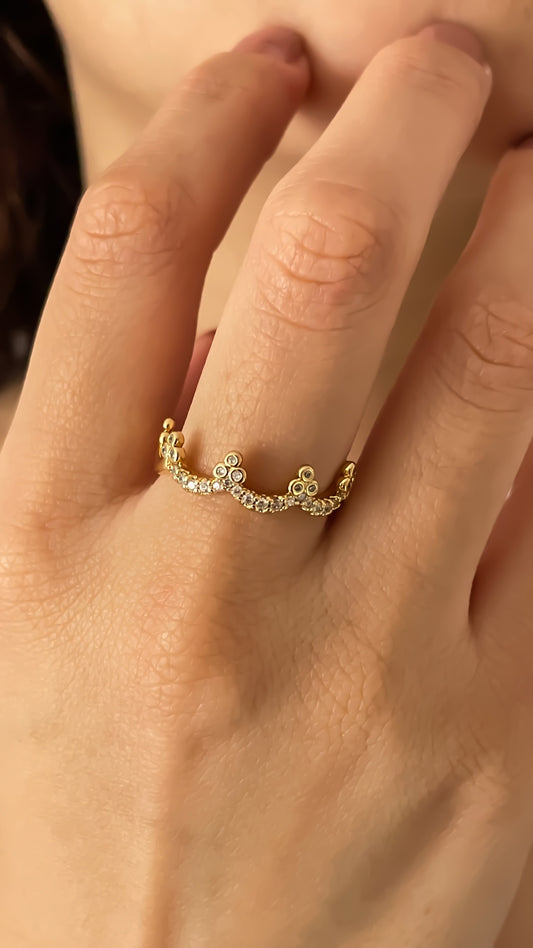 ANILLO ALEXA