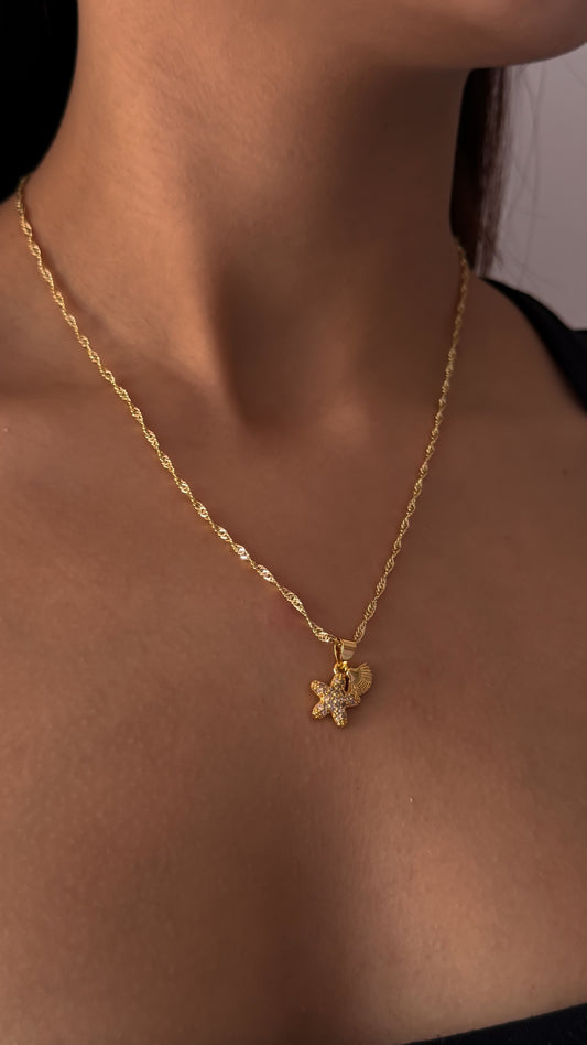 COLLAR MARINA
