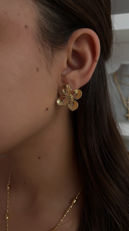 ARETE FLORENCIA