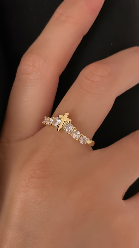 ANILLO ESME