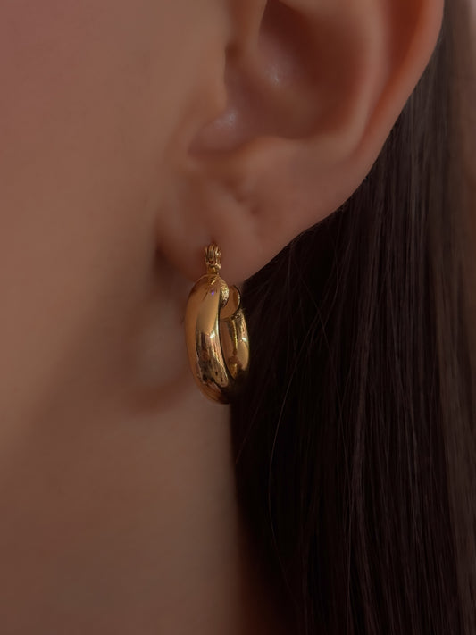 ARETE SILVIA