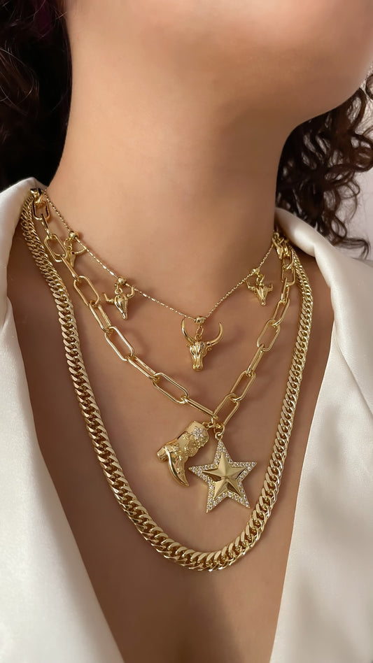 COLLAR TEXAS & COLLAR BULLS