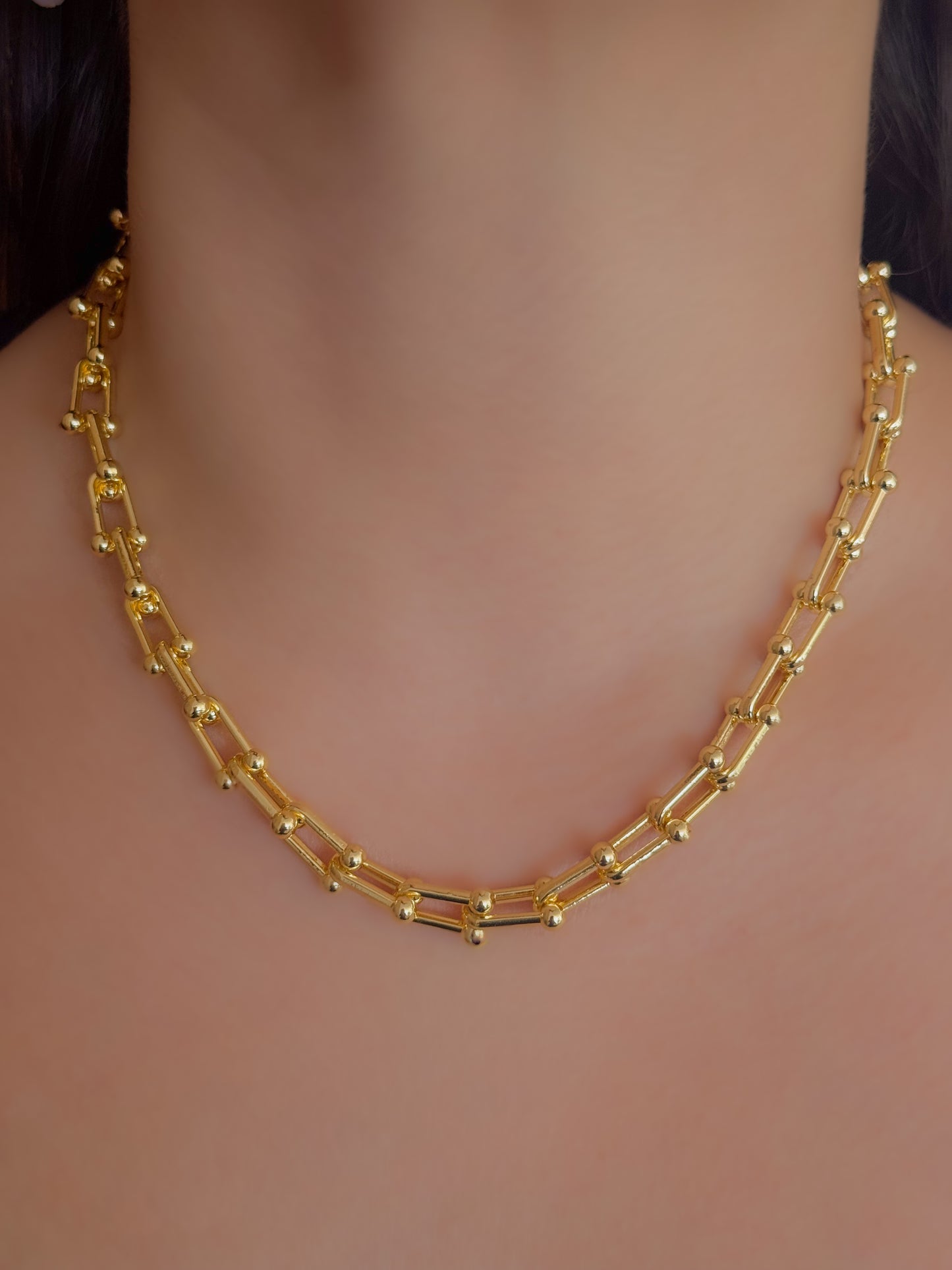 COLLAR TIFFANY (REMATES)