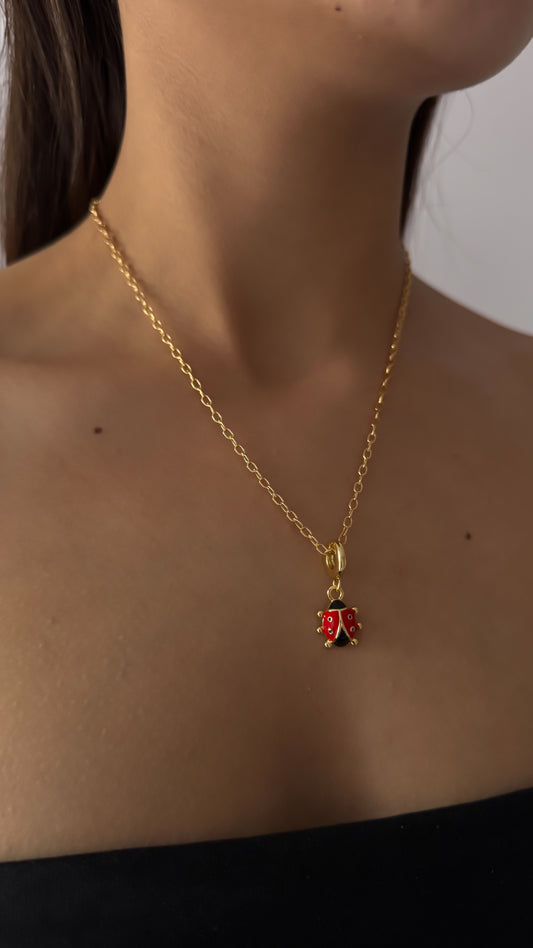 COLLAR CINDY
