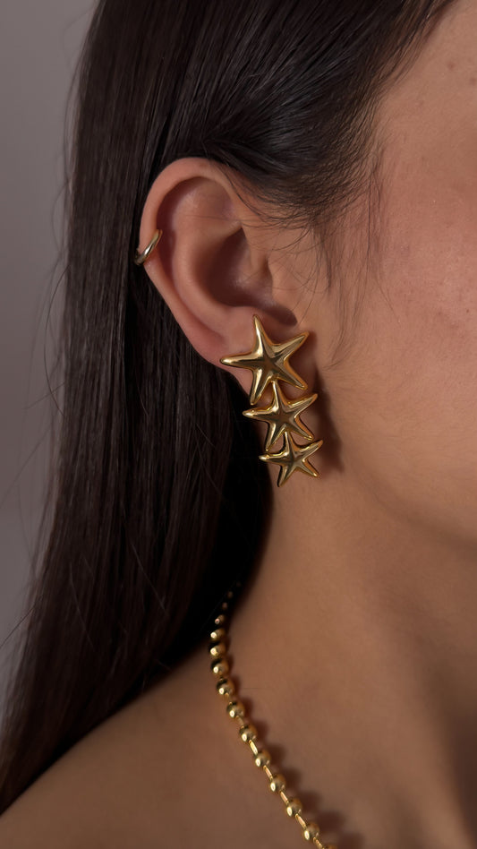 ARETE CORAL