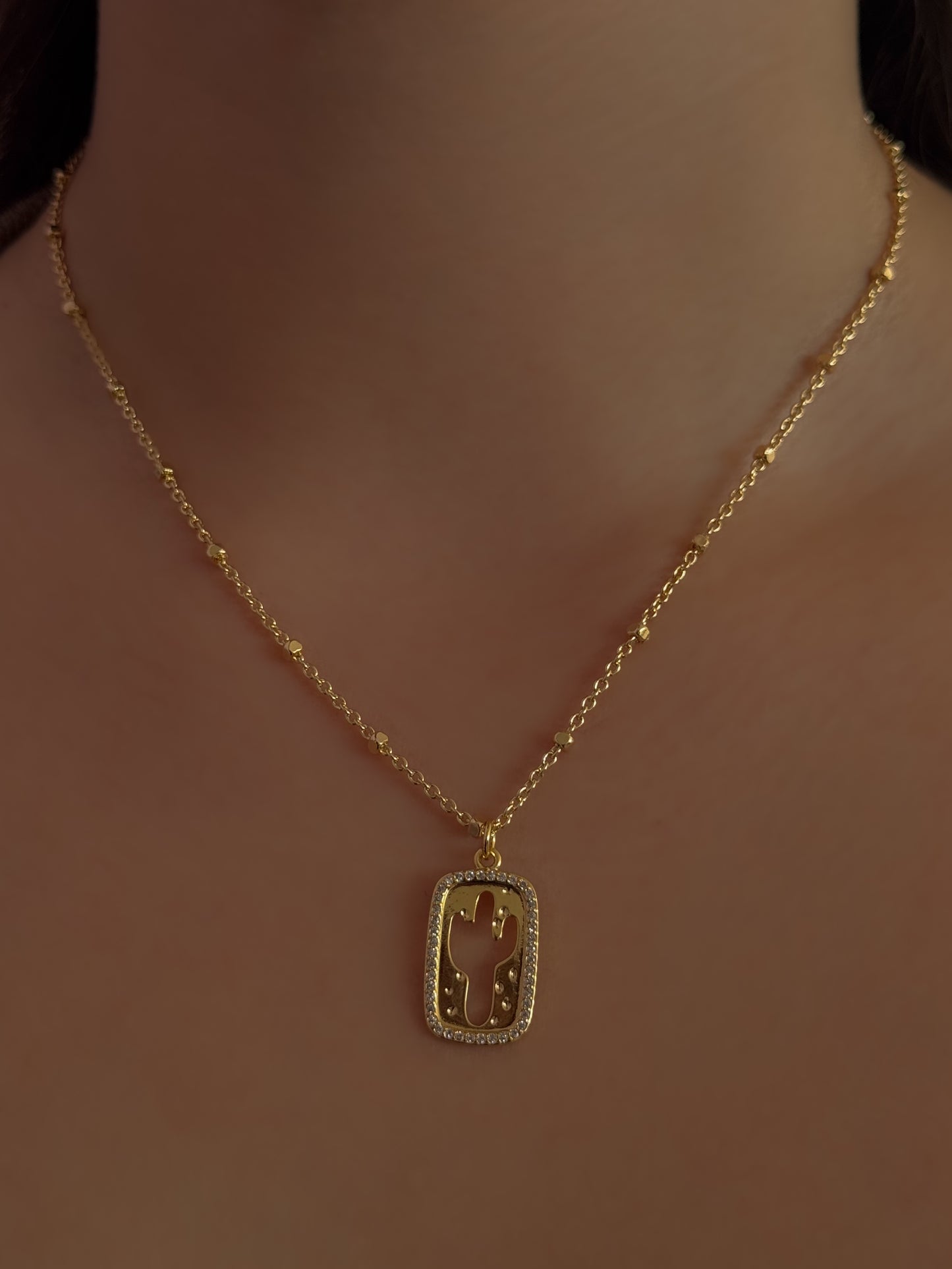 COLLAR CACTUS